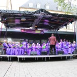 SERVIOR_2015_Blues Festival_Rhummer Gospel_A2007 179