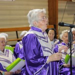 SERVIOR_2015_Rhummer-Gospel_Aubange_A2007 122